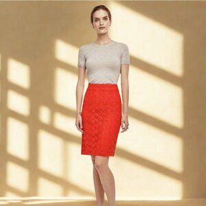 Gorgeous Ann Taylor Pencil Skirt with Floral Lace / Size 10